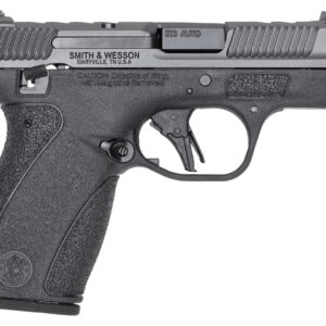 S&W BODYGRD 2.0 PC 14418 380 3.1     2X10R GRY/BLK