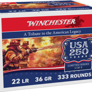 WINCHESTER 22LR 36GR PLATED HP - 1280FPS 333RD 10BX/CS 250TH AN