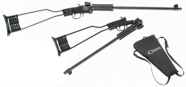CHIAPPA LITTLE BADGER 22LR BLACK 12R 500.092