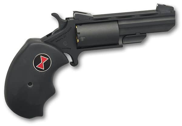 NAA BWC CRK 22LR/M 2HB VR FS