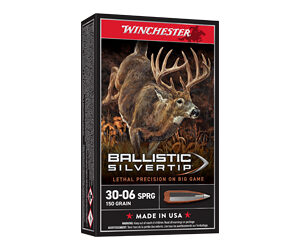 WIN BLSTC TIP 3006SP 150GR 20/200