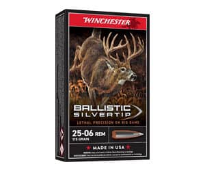 WIN BLSTC TIP 2506RM 115GR 20/200